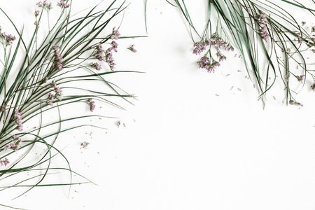 Flowers composition. Dried flowers and leaves on white background. Flat lay, top view, copy spaceの写真素材