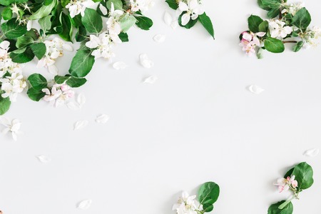 Flowers composition. Apple tree flowers on pastel gray background. Spring concept. Flat lay, top view, copy spaceの写真素材