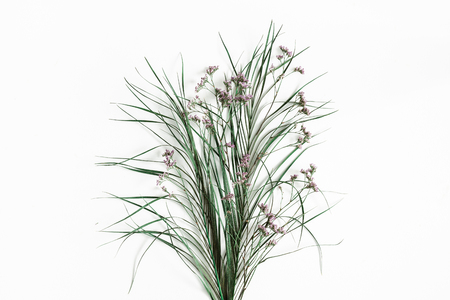Flowers composition. Dried flowers and leaves on white background. Flat lay, top viewの写真素材