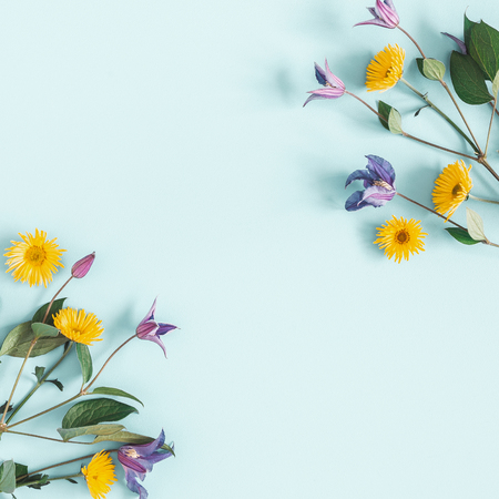 Flowers composition. Yellow and purple flowers on pastel blue background. Spring, easter concept. Flat lay, top view, copy spaceの写真素材