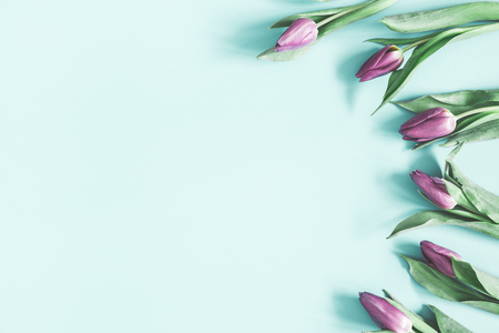 Flowers composition. Tulip flowers on pastel blue background. Spring, easter, mothers day, womens day concept. Flat lay, top view, copy spaceの写真素材