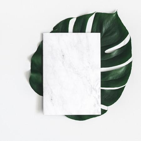 Summer composition. Monstera leaf, marble paper blank on pastel gray background. Summer, nature concept. Flat lay, top view, copy space, squareの写真素材