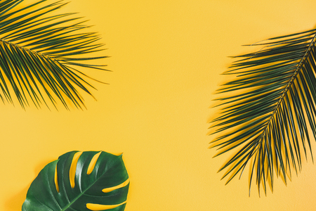 Summer composition. Tropical palm leaf on yellow background. Summer concept. Flat lay, top view, copy spaceの写真素材