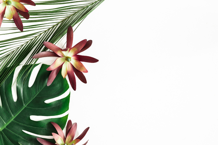 Summer composition. Tropical flowers and leaves on white background. Summer concept. Flat lay, top view, copy spaceの写真素材