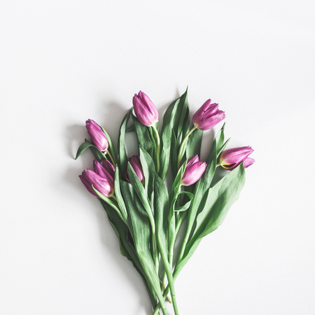Flowers composition. Purple tulip flowers on pastel gray background. Valentines day, mothers day, womens day, spring, easter concept. Flat lay, top view, squareの写真素材