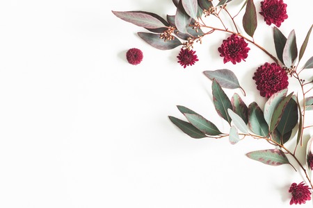 Flowers composition. Eucalyptus leaves and red flowers on white background. Flat lay, top view, copy spaceの写真素材