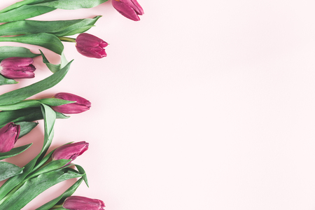 Flowers composition. Tulip flowers on pastel pink background. Mothers day, womens day, spring, easter concept. Flat lay, top view, copy spaceの写真素材