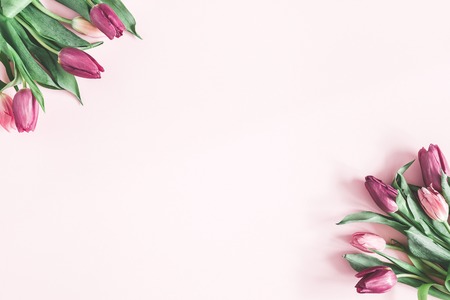 Flowers composition. Tulip flowers on pastel pink background. Valentines day, mothers day, womens day, spring, easter concept. Flat lay, top view, copy spaceの写真素材