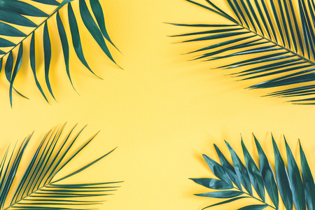 Summer composition. Tropical palm leaf on yellow background. Summer concept. Flat lay, top view, copy spaceの写真素材