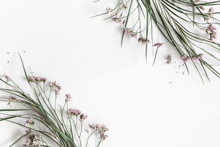 Flowers composition. Dried flowers and leaves on white background. Flat lay, top view, copy space