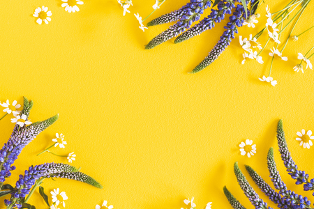 Flowers composition. Chamomile flowers on yellow background. Spring, summer concept. Flat lay, top view, copy spaceの写真素材