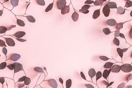 Red eucalyptus leaves on pastel pink background. Flat lay, top viewの写真素材
