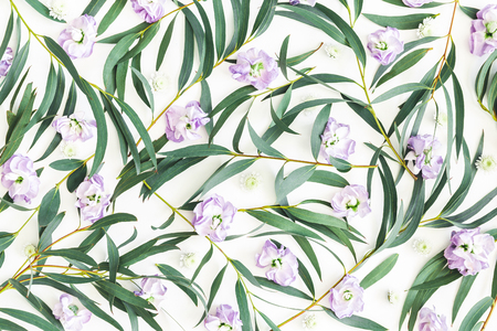 Flowers composition. Purple flowers and eucalyptus leaves on white background. Flat lay, top viewの写真素材