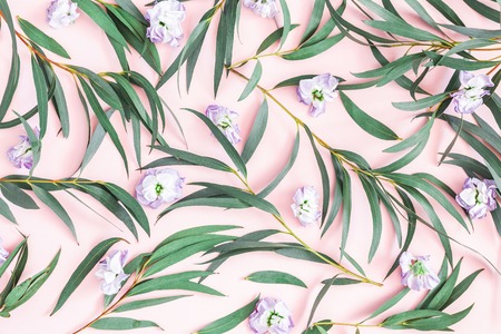 Flowers composition. Eucalyptus leaves, purple flowers on pink background. Flat lay, top viewの写真素材
