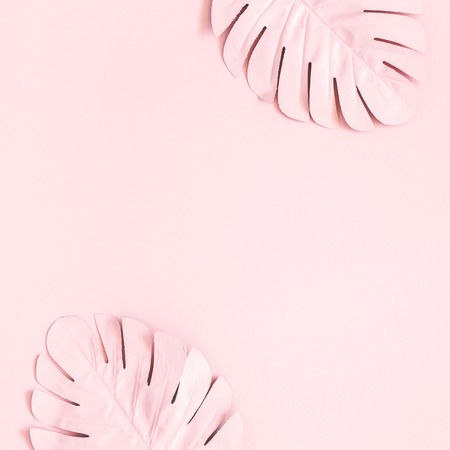 Summer composition. Tropical palm leaves on pink background. Summer concept. Flat lay, top view, copy space, squareの写真素材