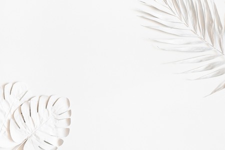 Summer composition. White palm leaves on white background. Summer concept. Flat lay, top view, copy spaceの写真素材