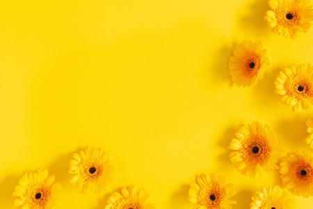 Flowers composition. Yellow gerbera flowers on yellow background. Flat lay, top view, copy spaceの写真素材