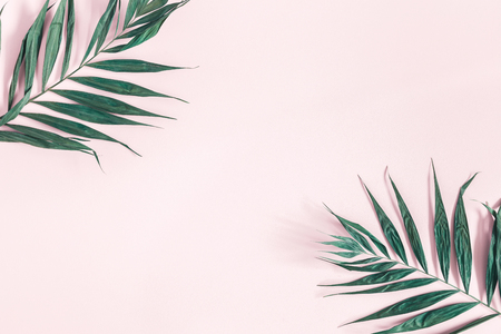 Summer composition. Tropical palm leaves on pastel pink background. Summer concept. Flat lay, top view, copy spaceの写真素材