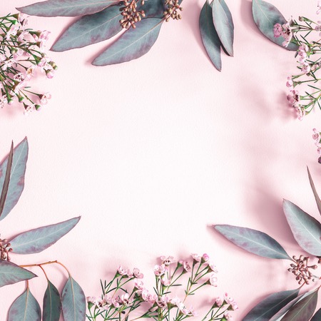 Flowers composition. Eucalyptus leaves and pink flowers on pastel pink background. Flat lay, top view, copy spaceの写真素材