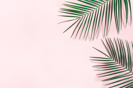 Summer composition. Tropical palm leaves on pastel pink background. Summer concept. Flat lay, top view, copy spaceの写真素材
