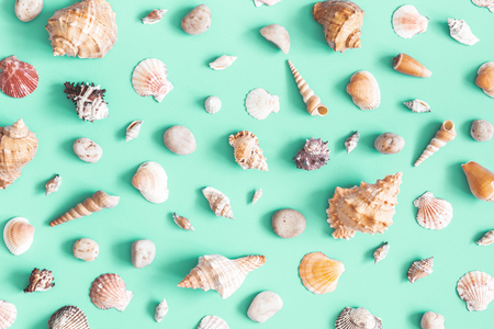 Sea shells pattern on mint background. Summer concept. Flat lay, top viewの写真素材