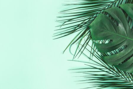 Summer composition. Palm leaves on mint background. Summer concept. Flat lay, top view, copy spaceの写真素材