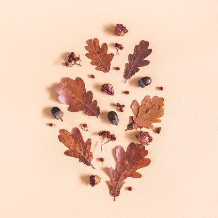 Autumn composition. Pattern made of oak leaves, flowers, acorns on beige background. Autumn, fall concept. Flat lay, top view, squareの写真素材