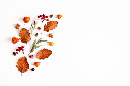 Autumn composition. Physalis flowers, eucalyptus leaves, rowan berries on white background. Autumn, fall, thanksgiving day concept. Flat lay, top view, copy spaceの写真素材