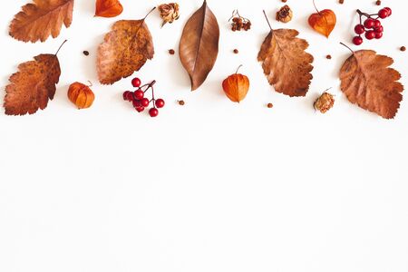 Autumn composition. Dried leaves, flowers, rowan berries on white background. Autumn, fall, thanksgiving day concept. Flat lay, top view, copy spaceの写真素材
