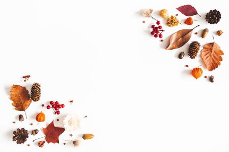 Autumn composition. Dried leaves, flowers, berries on white background. Autumn, fall, thanksgiving day concept. Flat lay, top view, copy spaceの写真素材