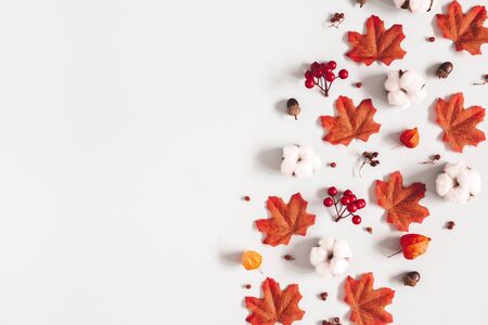 Autumn composition. Pattern made of flowers, maple leaves on gray background. Autumn, fall, thanksgiving day concept. Flat lay, top view, copy spaceの写真素材