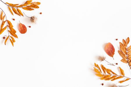 Autumn composition. Dried leaves, rowan berries on white background. Autumn, fall, thanksgiving day concept. Flat lay, top view, copy spaceの写真素材