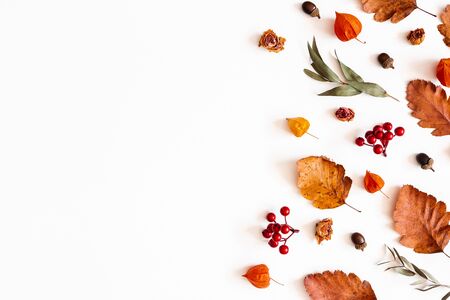 Autumn composition. Physalis flowers, eucalyptus leaves, rowan berries on white background. Autumn, fall, thanksgiving day concept. Flat lay, top view, copy spaceの写真素材