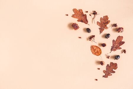 Autumn composition. Frame made of oak leaves, flowers, acorns on beige background. Autumn, fall concept. Flat lay, top view, copy spaceの写真素材