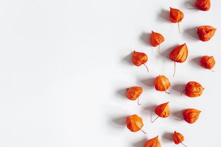 Autumn composition. Physalis flowers on gray background. Autumn, fall, thanksgiving day concept. Flat lay, top view, copy spaceの写真素材