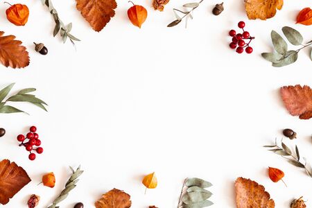 Autumn composition. Physalis flowers, eucalyptus leaves, rowan berries on white background. Autumn, fall, thanksgiving day concept. Flat lay, top view, copy spaceの写真素材