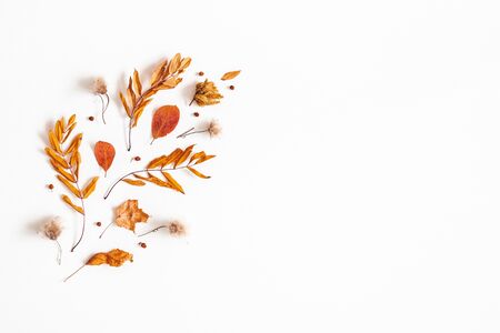 Autumn composition. Dried leaves, rowan berries on white background. Autumn, fall, thanksgiving day concept. Flat lay, top view, copy spaceの写真素材