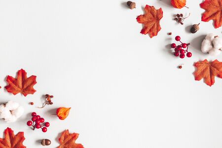 Autumn composition. Frame made of flowers, maple leaves on gray background. Autumn, fall, thanksgiving day concept. Flat lay, top view, copy spaceの写真素材