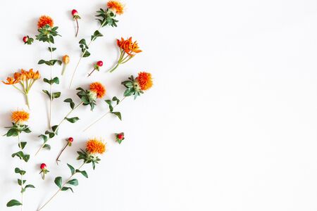 Autumn composition. Orange flowers on white background. Autumn, fall concept. Flat lay, top view, copy spaceの写真素材
