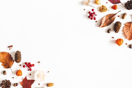 Autumn composition. Dried leaves, flowers, berries on white background. Autumn, fall, thanksgiving day concept. Flat lay, top view, copy spaceの写真素材