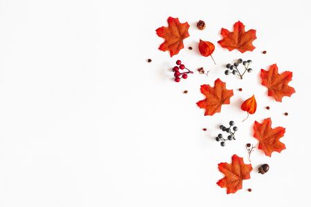 Autumn composition. Pattern made of flowers, maple leaves, berries on white background. Autumn, fall, thanksgiving day concept. Flat lay, top view, copy spaceの写真素材