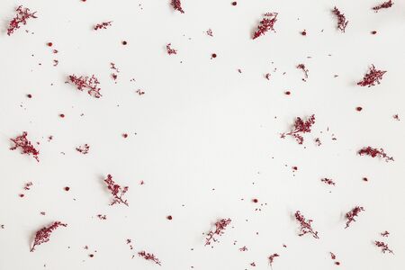 Autumn composition. Border made of red flowers, berries on gray background. Autumn, fall, thanksgiving day concept. Flat lay, top view, copy spaceの写真素材