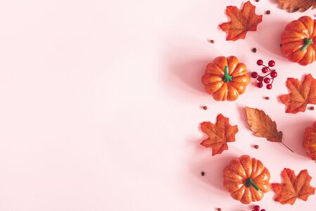 Autumn composition. Dried leaves, pumpkins, flowers, rowan berries on pink background. Autumn, fall, halloween, thanksgiving day concept. Flat lay, top view, copy spaceの写真素材