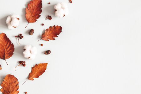 Autumn composition. Frame made of flowers, dried leaves on gray background. Autumn, fall, thanksgiving day concept. Flat lay, top view, copy spaceの写真素材