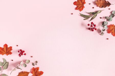 Autumn composition. Dried flowers, eucalyptus leaves, rowan berries on pink background. Autumn, fall, thanksgiving day concept. Flat lay, top view, copy spaceの写真素材