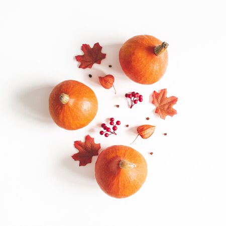 Autumn composition. Dried leaves, pumpkins, flowers, rowan berries on white background. Autumn, fall, halloween, thanksgiving day concept. Flat lay, top viewの写真素材