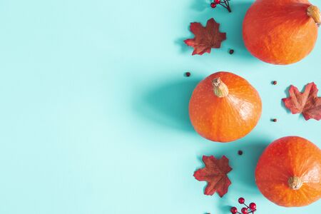Autumn composition. Dried leaves, pumpkins, flowers, rowan berries on blue background. Autumn, fall, halloween, thanksgiving day concept. Flat lay, top view, copy spaceの写真素材