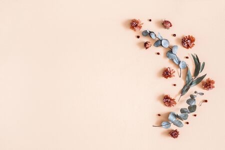 Autumn composition. Pattern made of dried flowers, eucalyptus leaves, berries on beige background. Autumn, fall, thanksgiving day concept. Flat lay, top view, copy spaceの写真素材