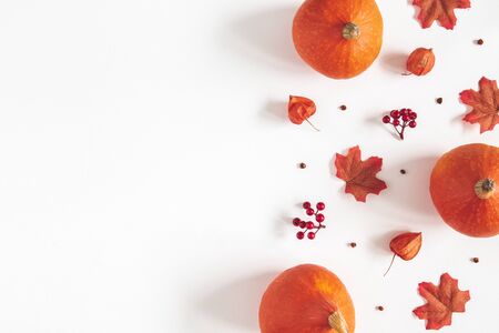 Autumn composition. Dried leaves, pumpkins, flowers, rowan berries on white background. Autumn, fall, halloween, thanksgiving day concept. Flat lay, top view, copy spaceの写真素材