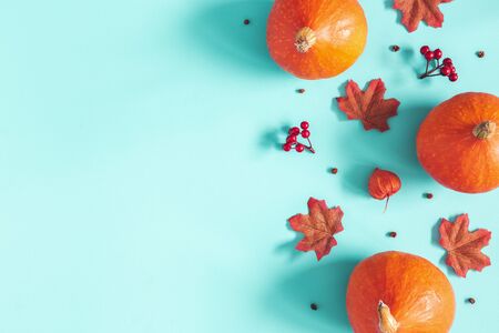 Autumn composition. Dried leaves, pumpkins, flowers, rowan berries on blue background. Autumn, fall, halloween, thanksgiving day concept. Flat lay, top view, copy spaceの写真素材